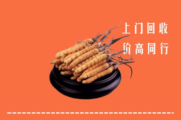 收购行情：调兵山市回收散虫草