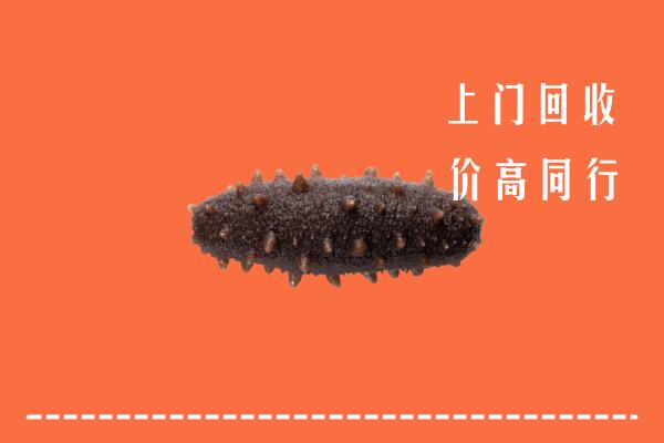 收购行情：调兵山市回收海参